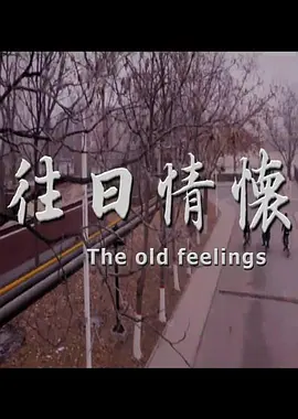 欧美伊人激情
