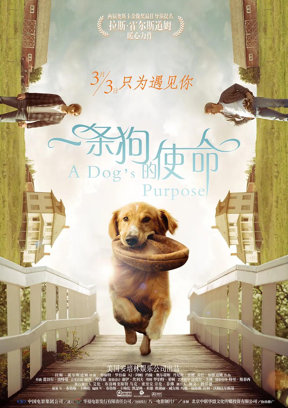 午夜韩漫18禁永久免费入口