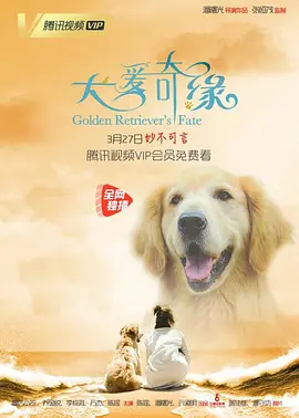 亚洲精品综合网在线8050影院